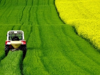 Compensi PrestO in agricoltura cumulabili con NASpI e DIS-COLL