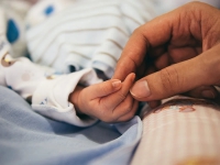 Bonus Mamme: oltre 100 mila domande
