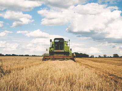 Aziende agricole: chiarimenti sull&#039;inquadramento contributivo